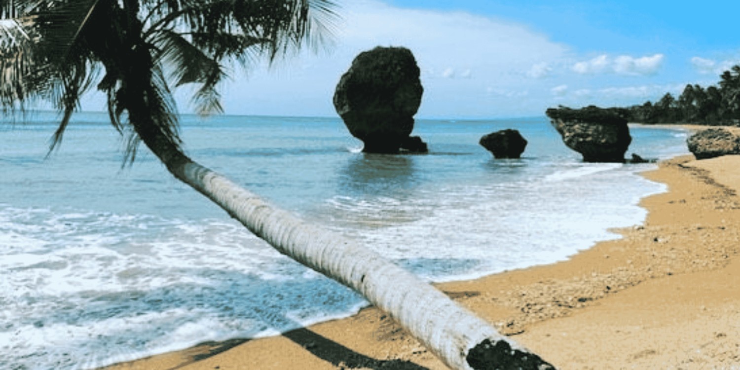 Keraladestinationholidays