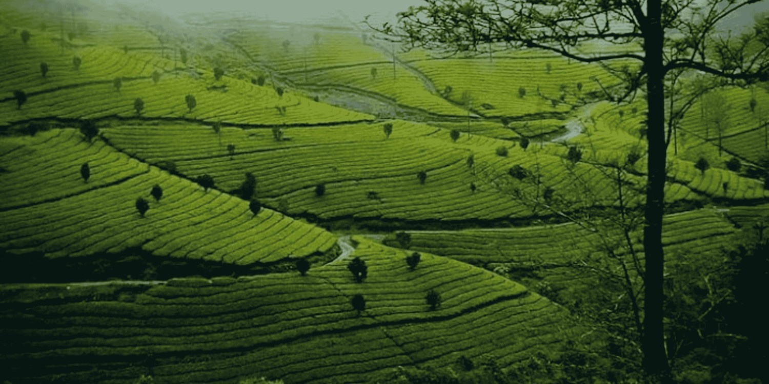 Keraladestinationholidays