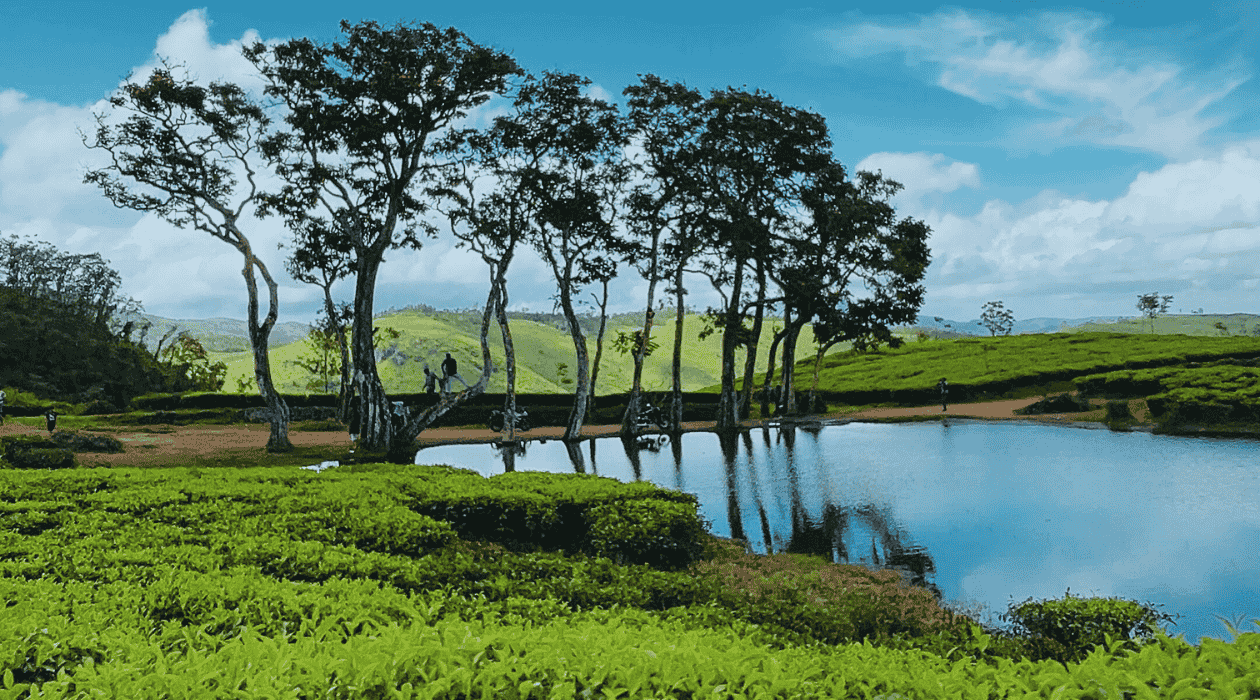 Keraladestinationholidays